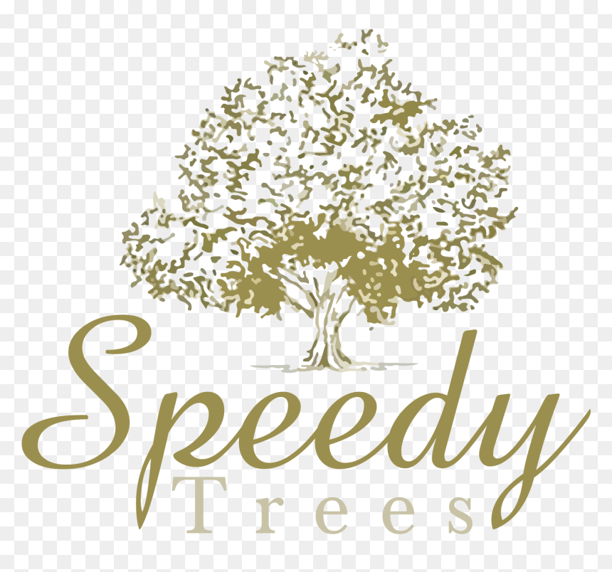 Always Kiss Me Good Morning, HD Png Download - cypress tree png