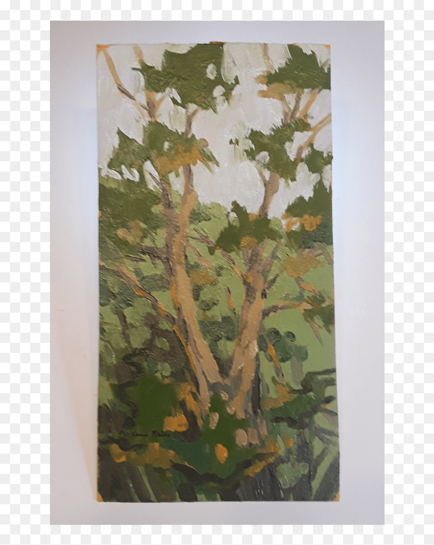 Birch, HD Png Download - cypress tree png