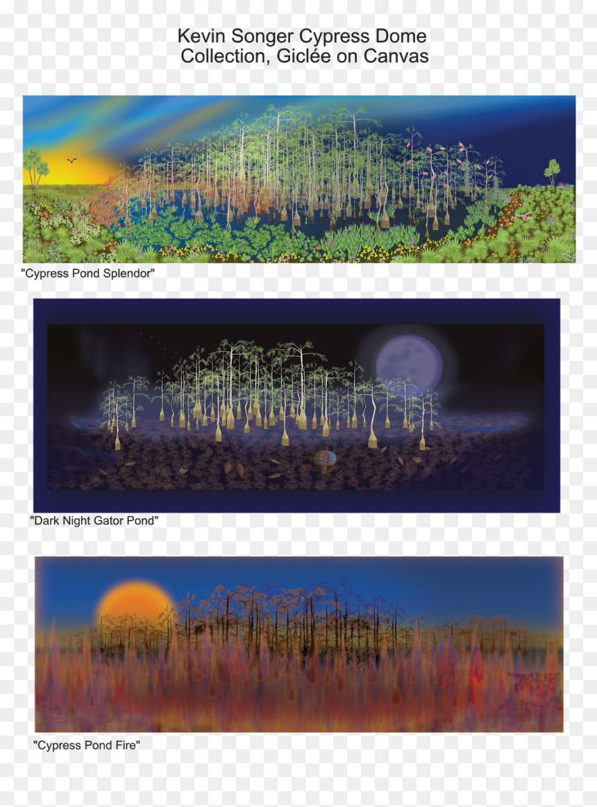 Tree, HD Png Download - cypress tree png