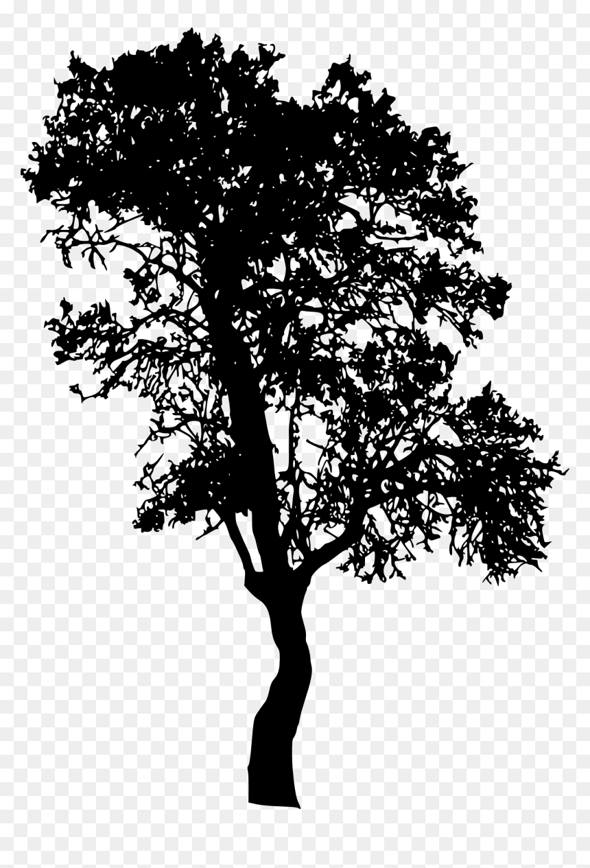 Tree Silhouette Png, Transparent Png - tree png silhouette