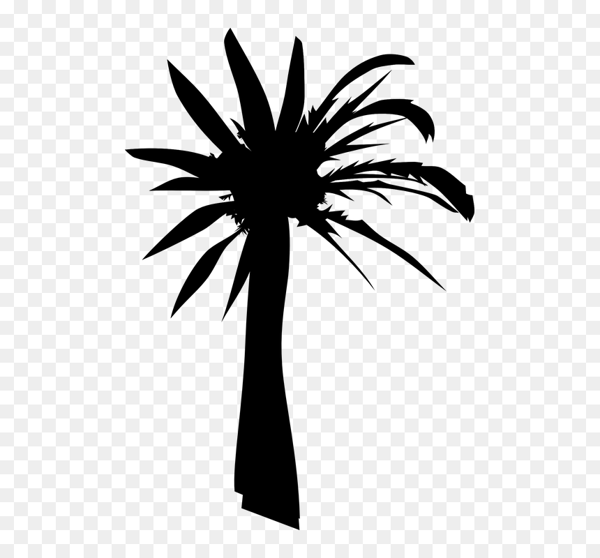 Palm Oil Tree Silhouette, HD Png Download - tree png silhouette