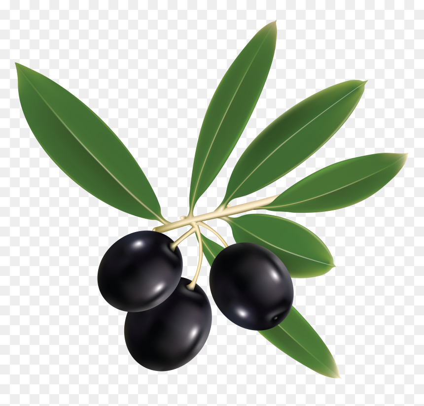 Olive No Background Png, Transparent Png - olives png
