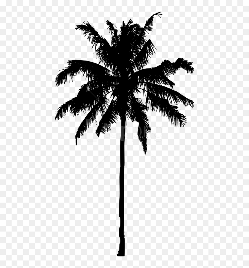 Palm Tree Silhouette Png, Transparent Png - tree png silhouette