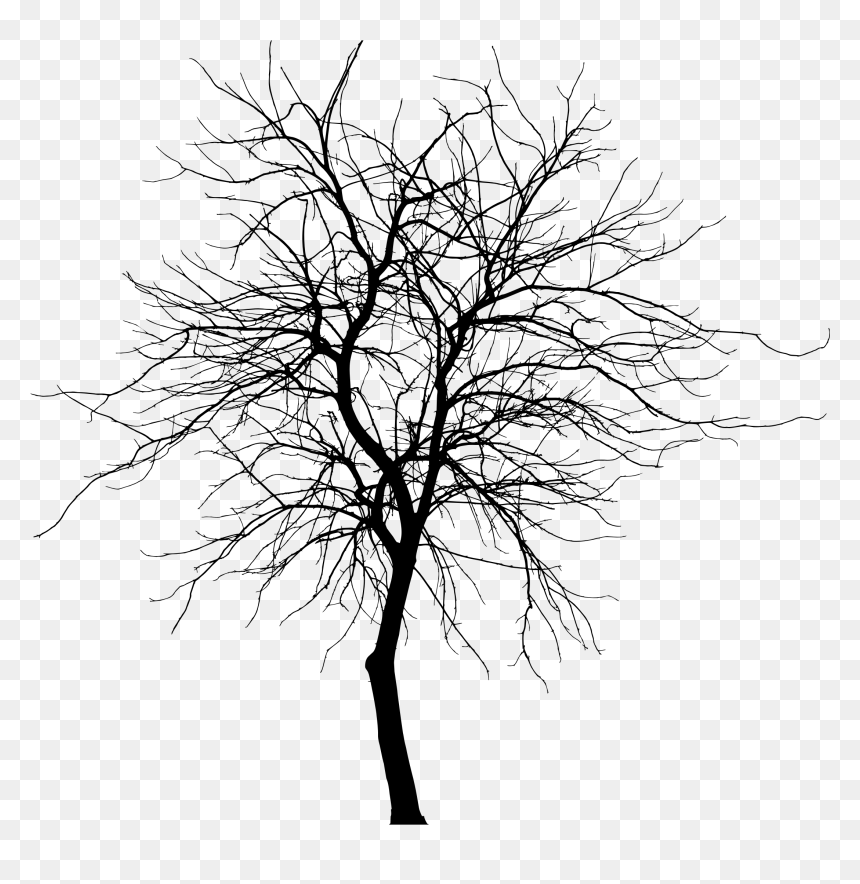 Silhouette Tree Png, Transparent Png - tree png silhouette