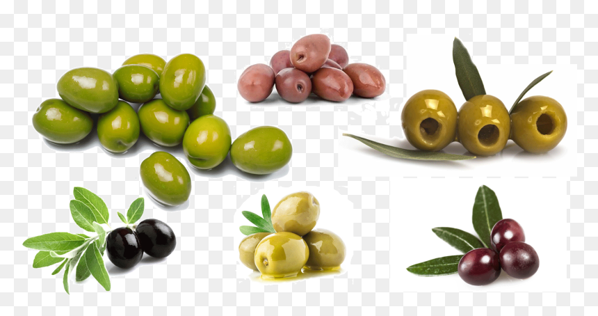 Arbequina Evoo, HD Png Download - olives png