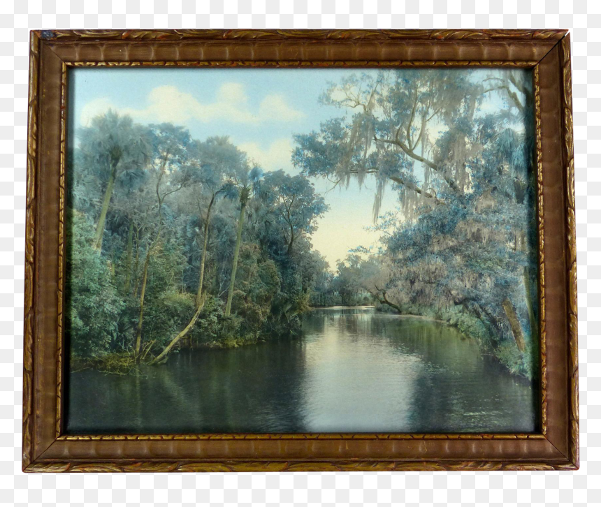 Picture Frame, HD Png Download - spanish moss png