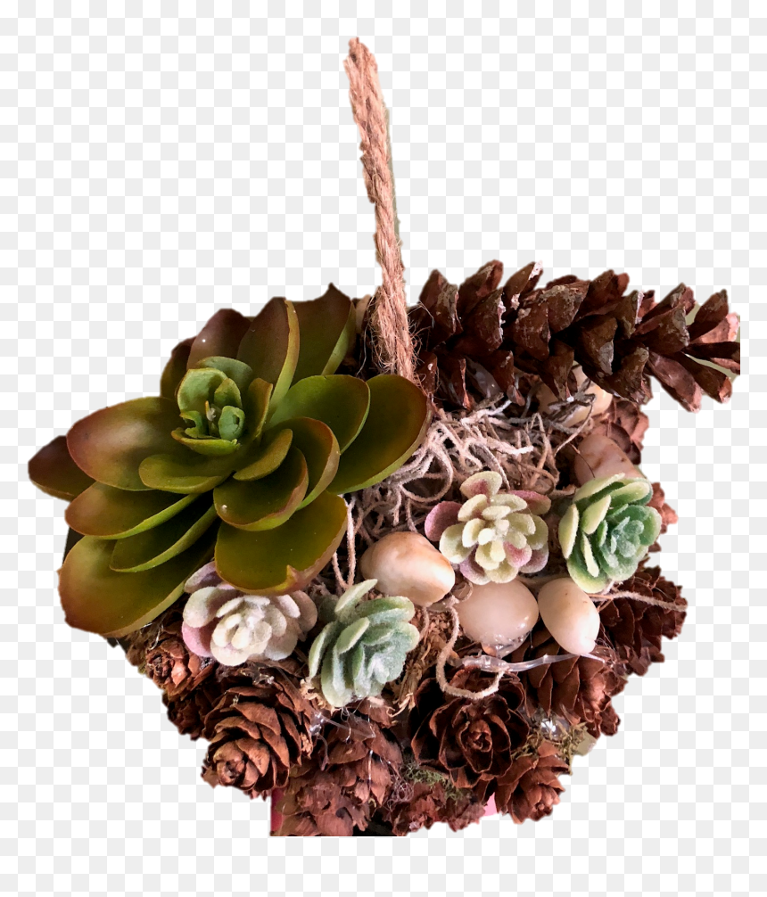 Echeveria, HD Png Download - stone bridge png