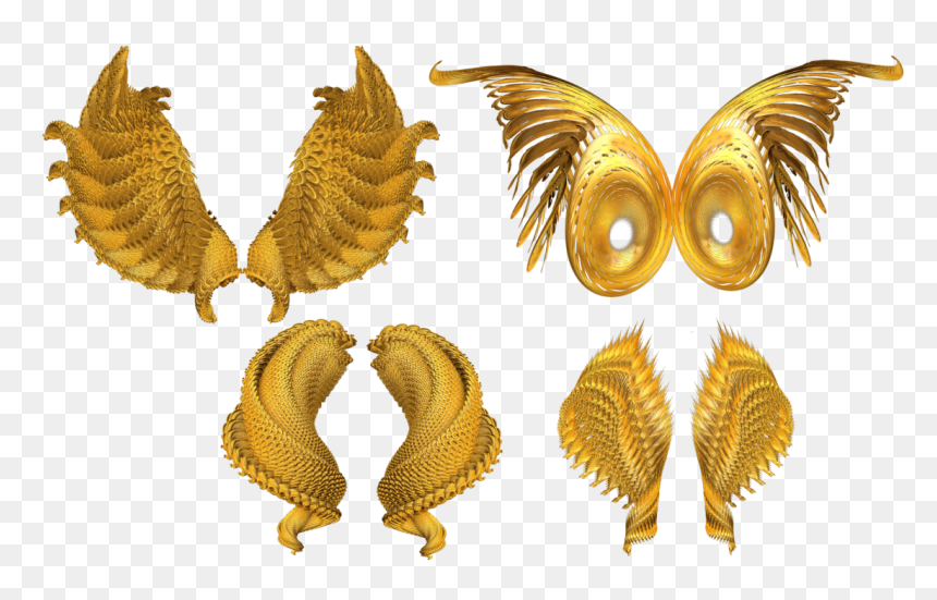 Asas Kiss Png, Transparent Png - gold angel wings png