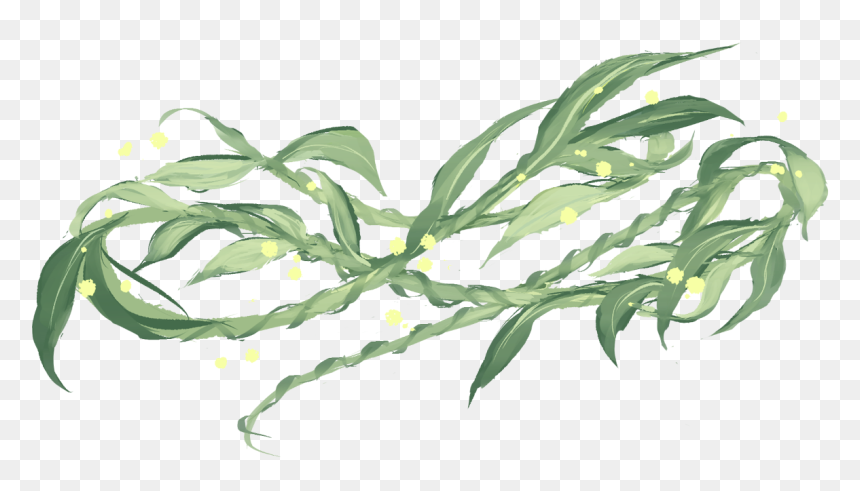 Large-flowered Evening Primrose, HD Png Download - weeping willow png