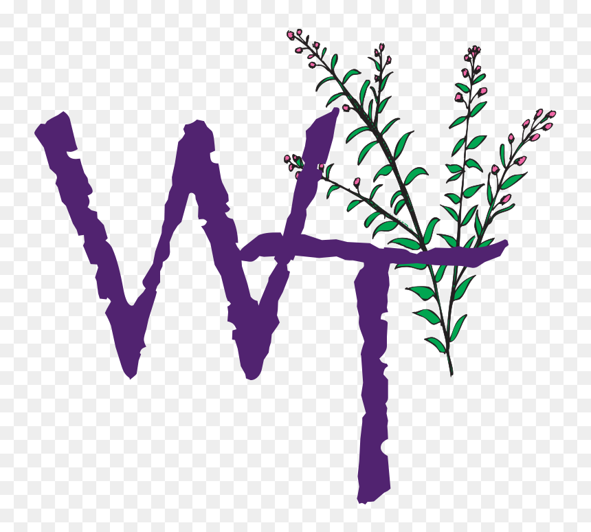 Women Of Joy Clipart, HD Png Download - weeping willow png