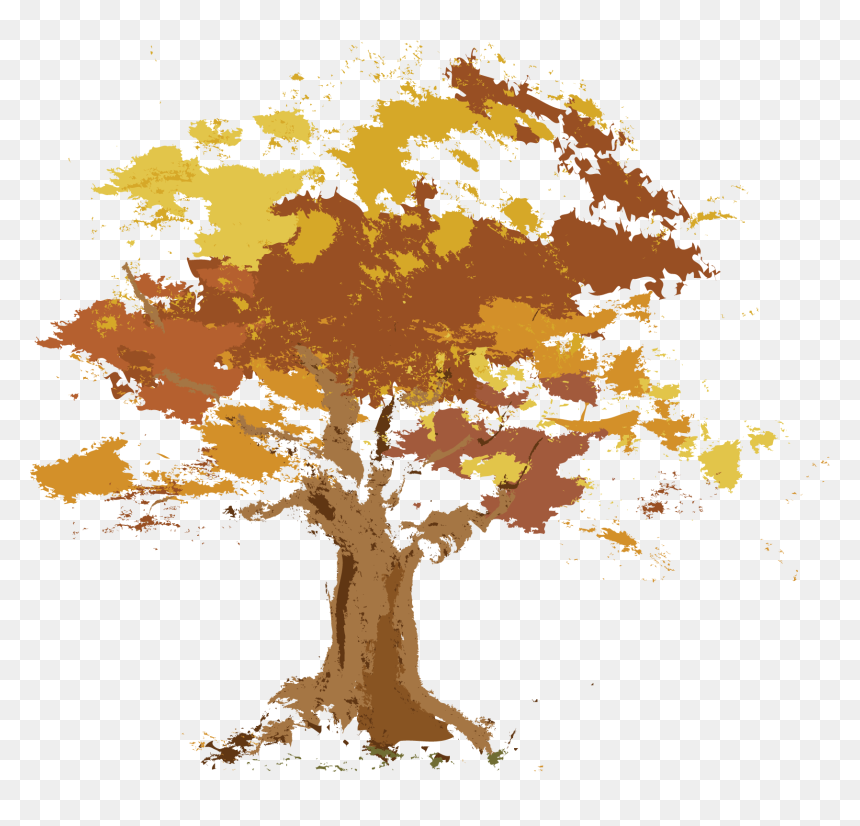 Maple, HD Png Download - deciduous tree png
