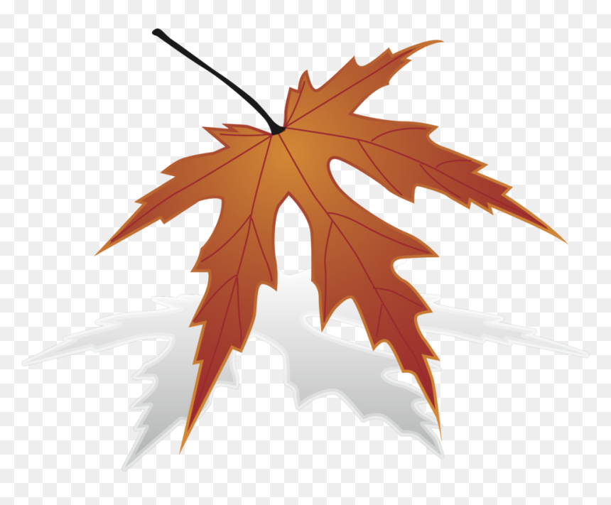 Drawing, HD Png Download - deciduous tree png