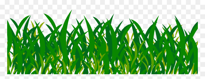 Transparent Background Grass Image Png, Png Download - green plant png