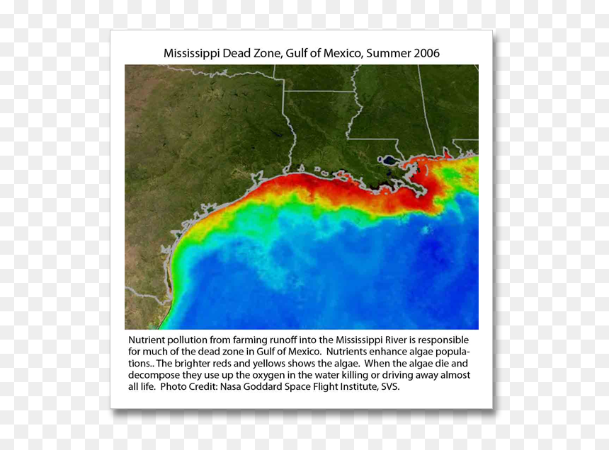 Gulf Of Mexico Hypoxia Zone, HD Png Download - dead space png