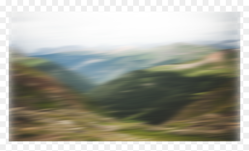 Tree, HD Png Download - grassy hill png