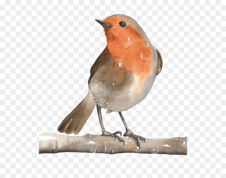 Sparrow Clip Art Png, Transparent Png - sparrow png
