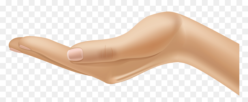 Hand Clipart, HD Png Download - hands clipart png