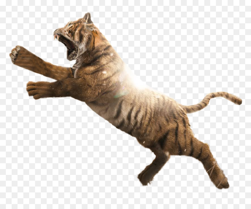 Tiger Png, Transparent Png - tiger.png