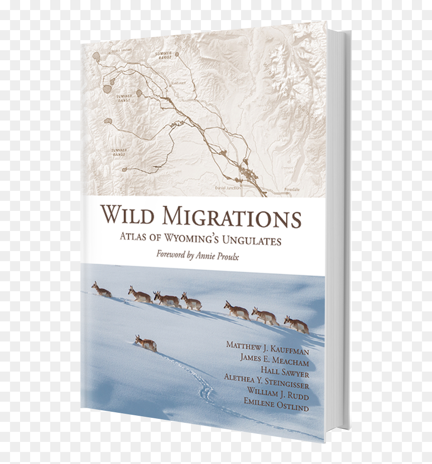 Wild Migrations Atlas Of Wyoming's Ungulates, HD Png Download - emily rudd png