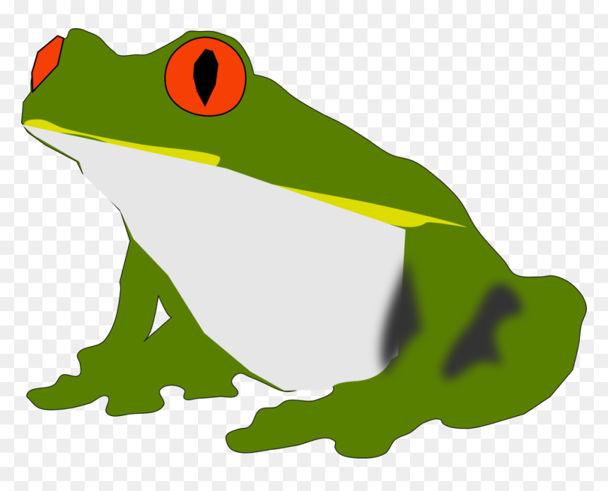 Cartoon Vector Frog Png, Transparent Png - tree frog png