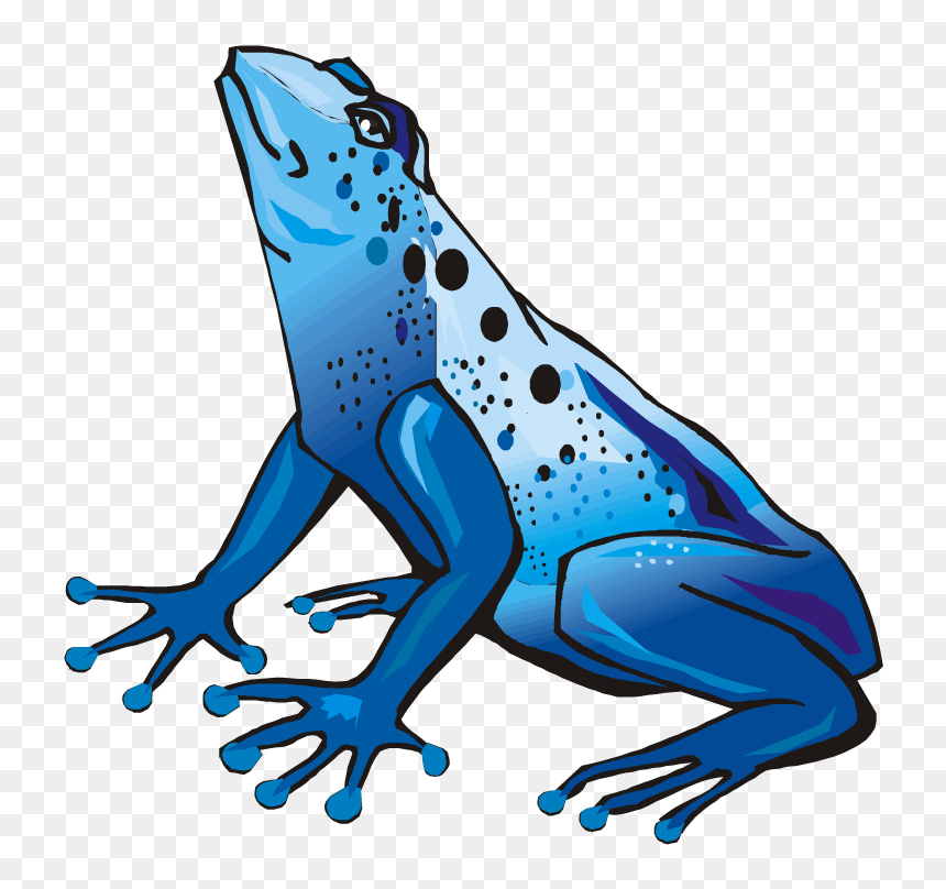 Dart Frog Clip Art, HD Png Download - tree frog png