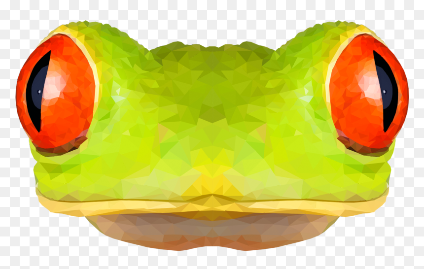 Red-eyed Tree Frog, HD Png Download - tree frog png