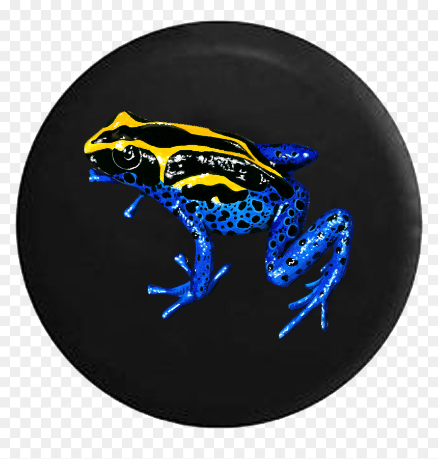 Illustration, HD Png Download - tree frog png