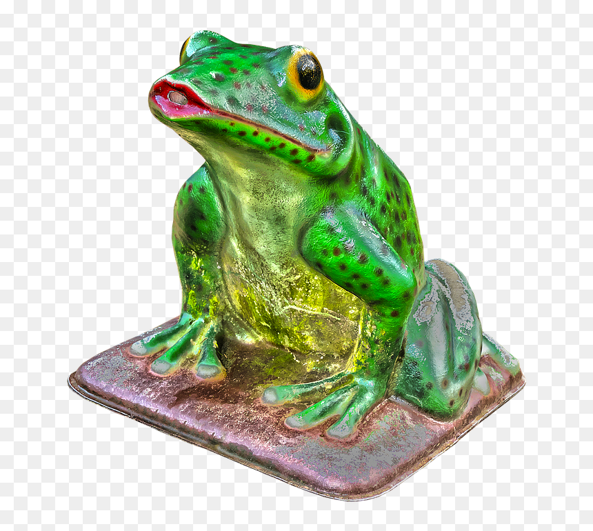Green-eyed Tree Frog, HD Png Download - tree frog png