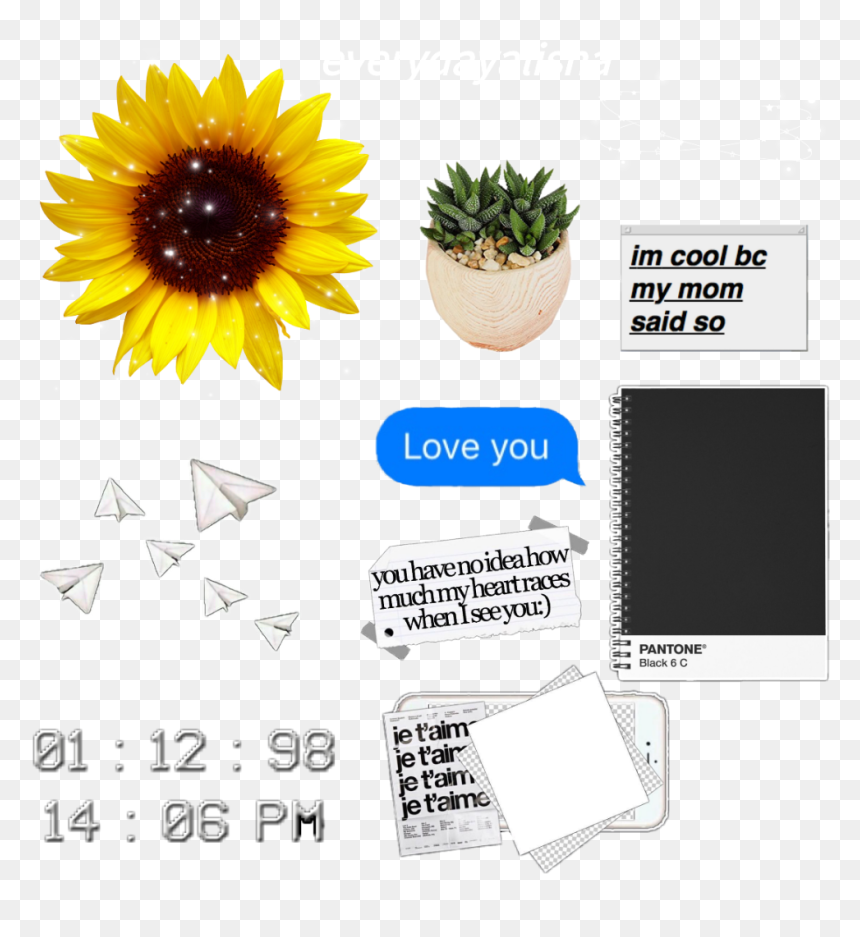 Sunflower Png Transparent, Png Download - overlays tumblr png
