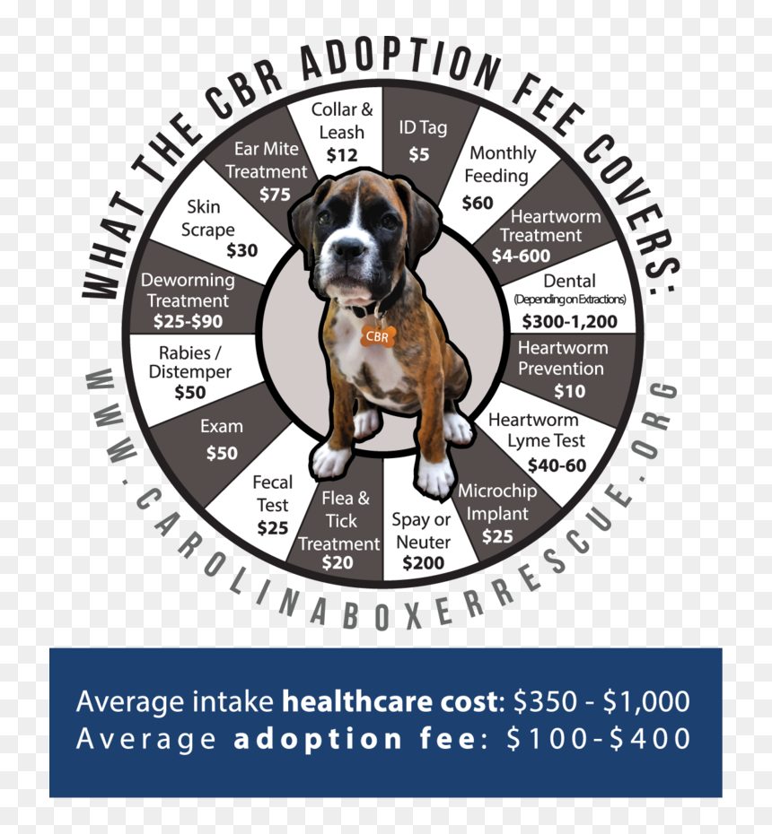 Boxer, HD Png Download - boxer dog png