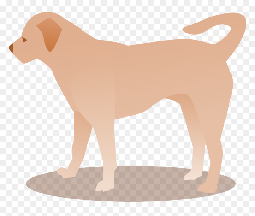 Ancient Dog Breeds, HD Png Download - boxer dog png