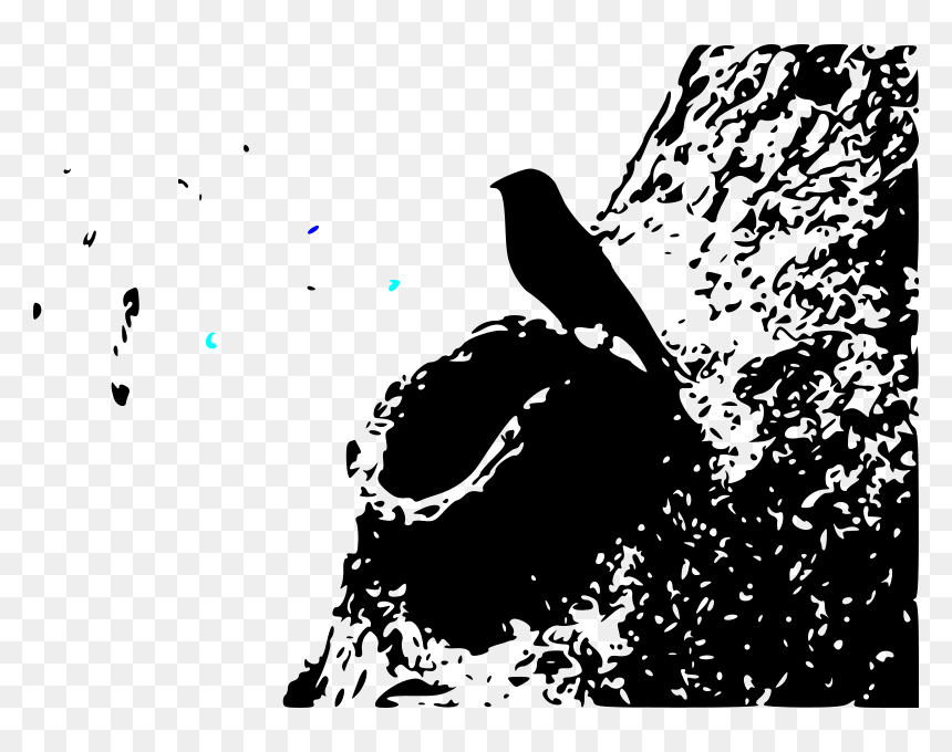 Drawing, HD Png Download - bird outline png
