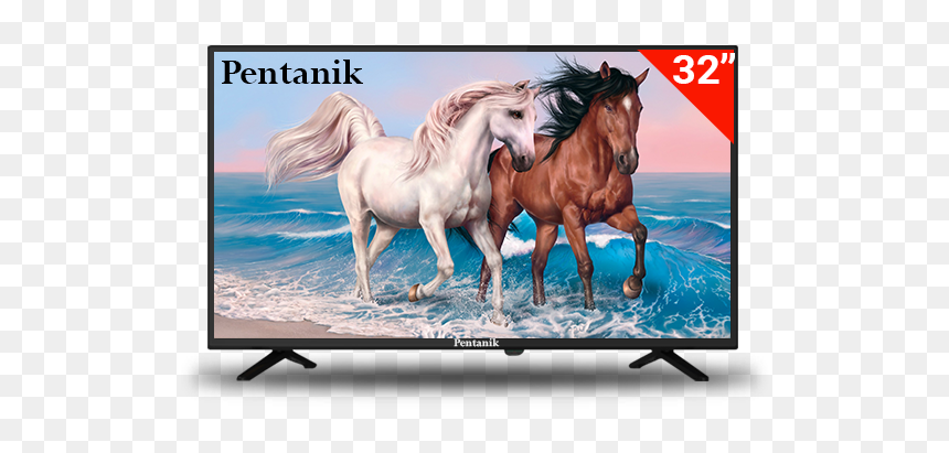 Horses On The Beach Painting, HD Png Download - led tv png