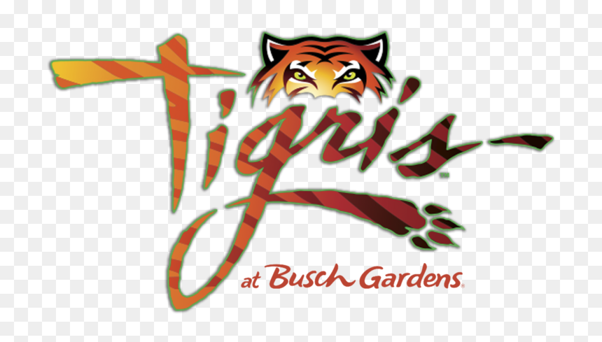 Tigris Roller Coaster Busch Gardens, HD Png Download - roaring tiger png