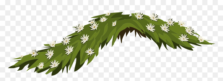 Leaves Flowers Png, Transparent Png - jasmine flower png