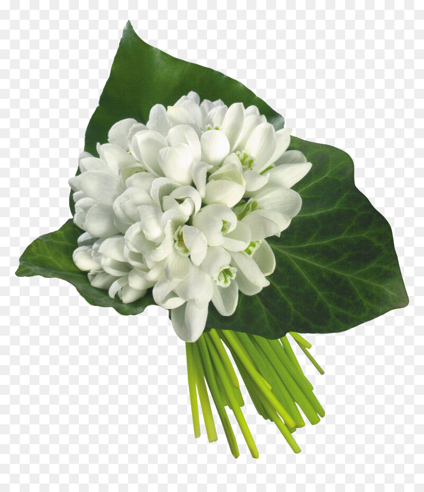 White Snowdrop Flowers Bouquet, HD Png Download - jasmine flower png