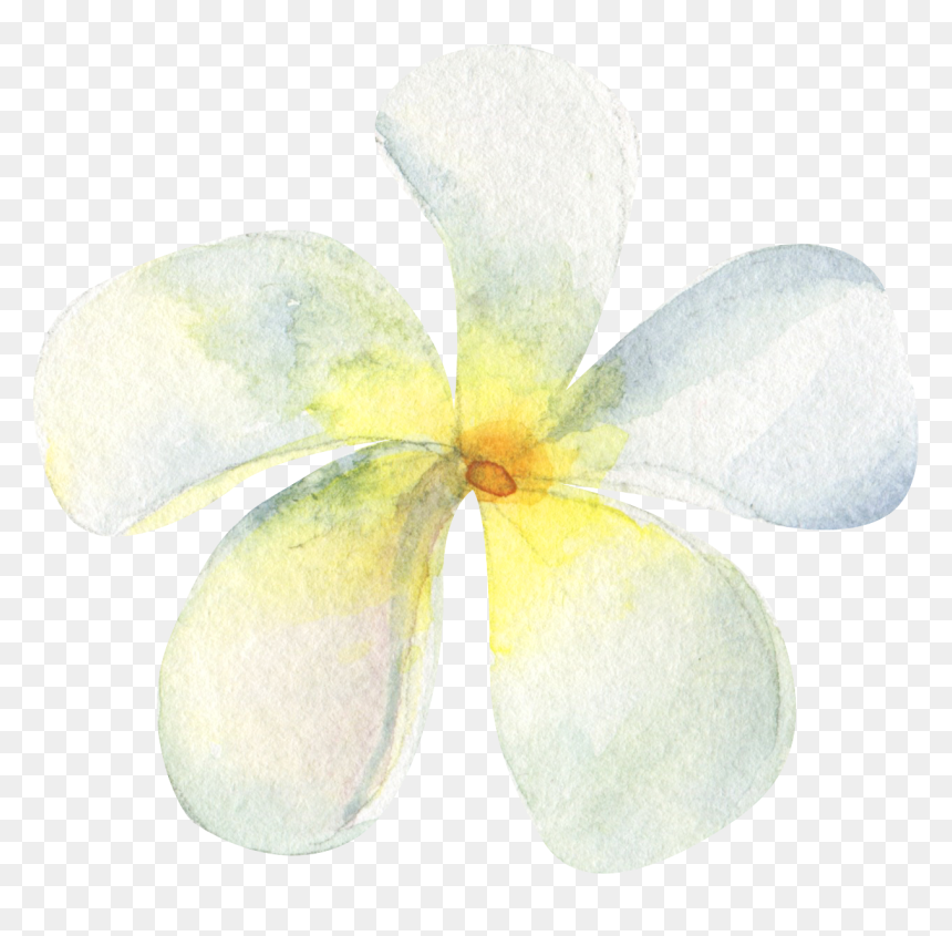 Jasmine Flower Png, Transparent Png - jasmine flower png