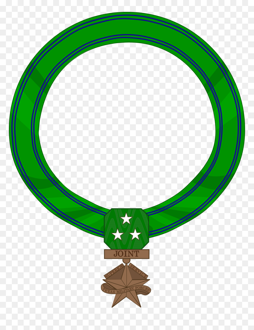 Texas Superior Service Medal, HD Png Download - purple heart medal png