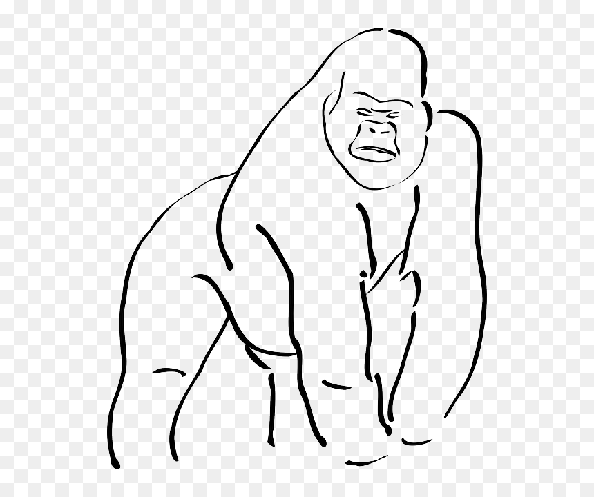 Gorilla Outline, HD Png Download - chalk outline png