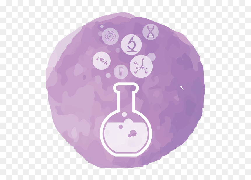 Ciencia Investigacion Y Tecnologia, HD Png Download - pancreas png