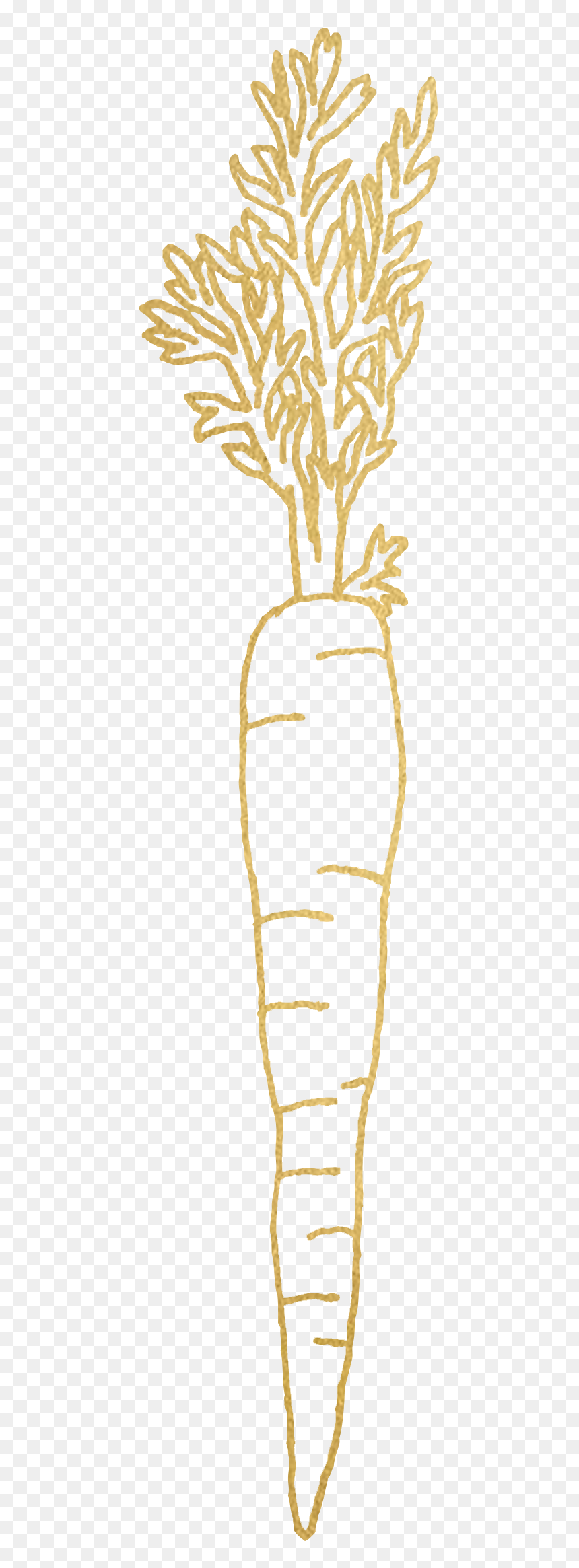 Carrot, HD Png Download - radish png