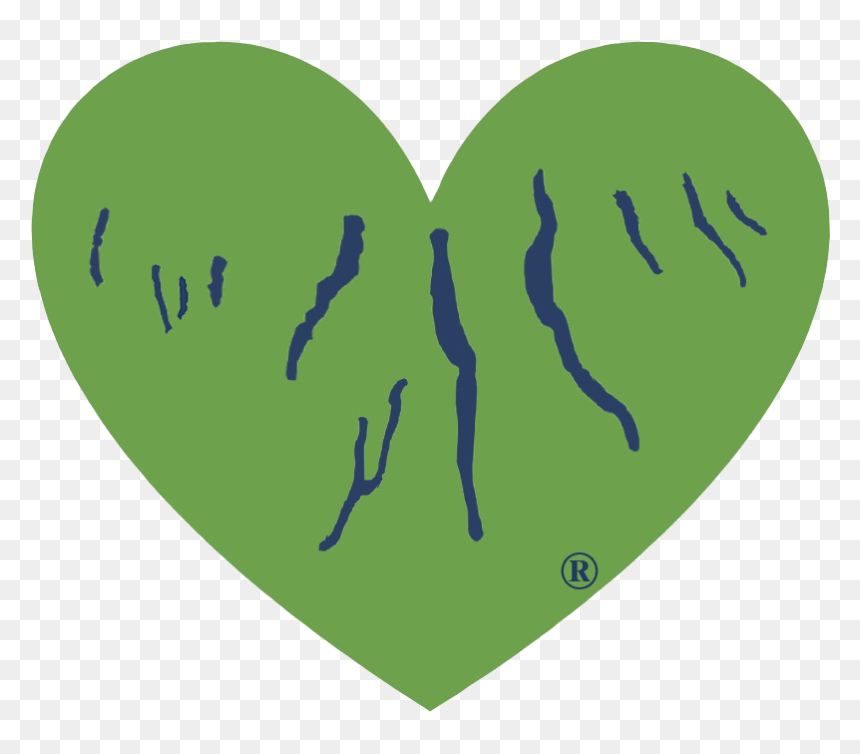 Illustration, HD Png Download - green heart png