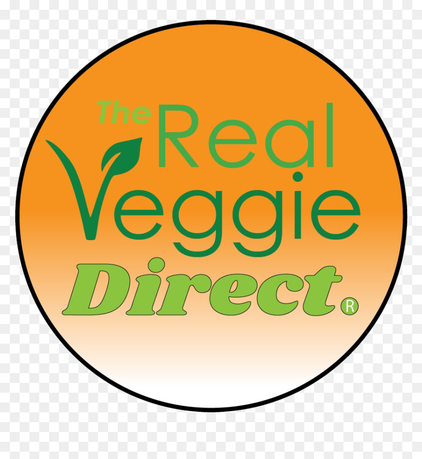 Circle, HD Png Download - sun direct png