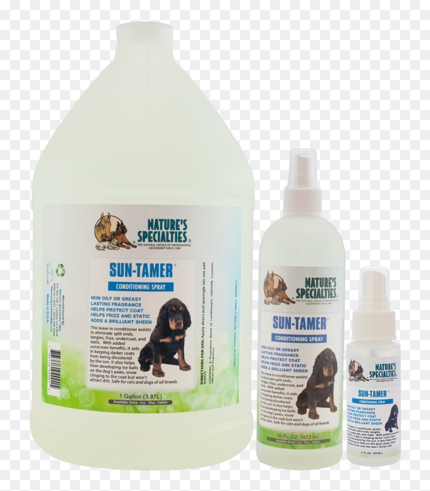 Companion Dog, HD Png Download - sun direct png