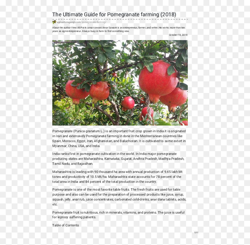 Boron Deficiency In Pomegranate, HD Png Download - anar juice png