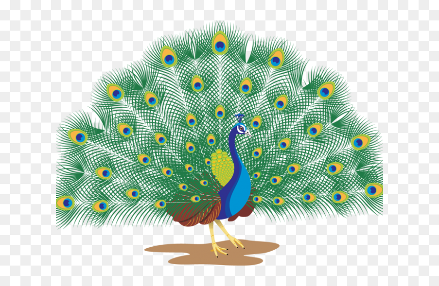 Peacock With White Background, HD Png Download - morpankh png