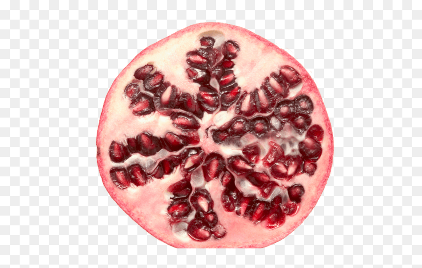 Pomegranate, HD Png Download - pomegranate seeds png