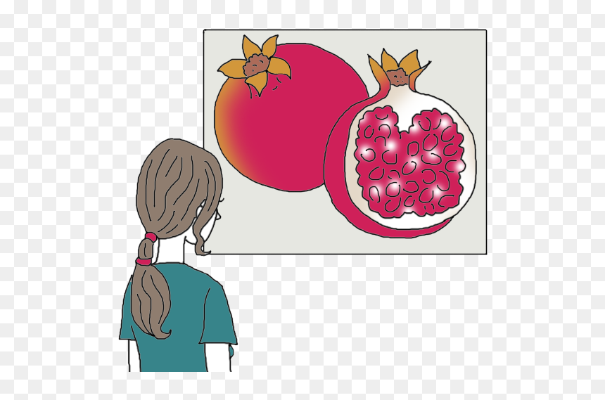 Illustration, HD Png Download - pomegranate seeds png