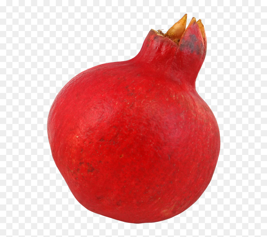 Pomegranate Symbol, HD Png Download - pomegranate seeds png