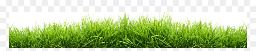 Transparent Grass Png Vector, Png Download - landfill png